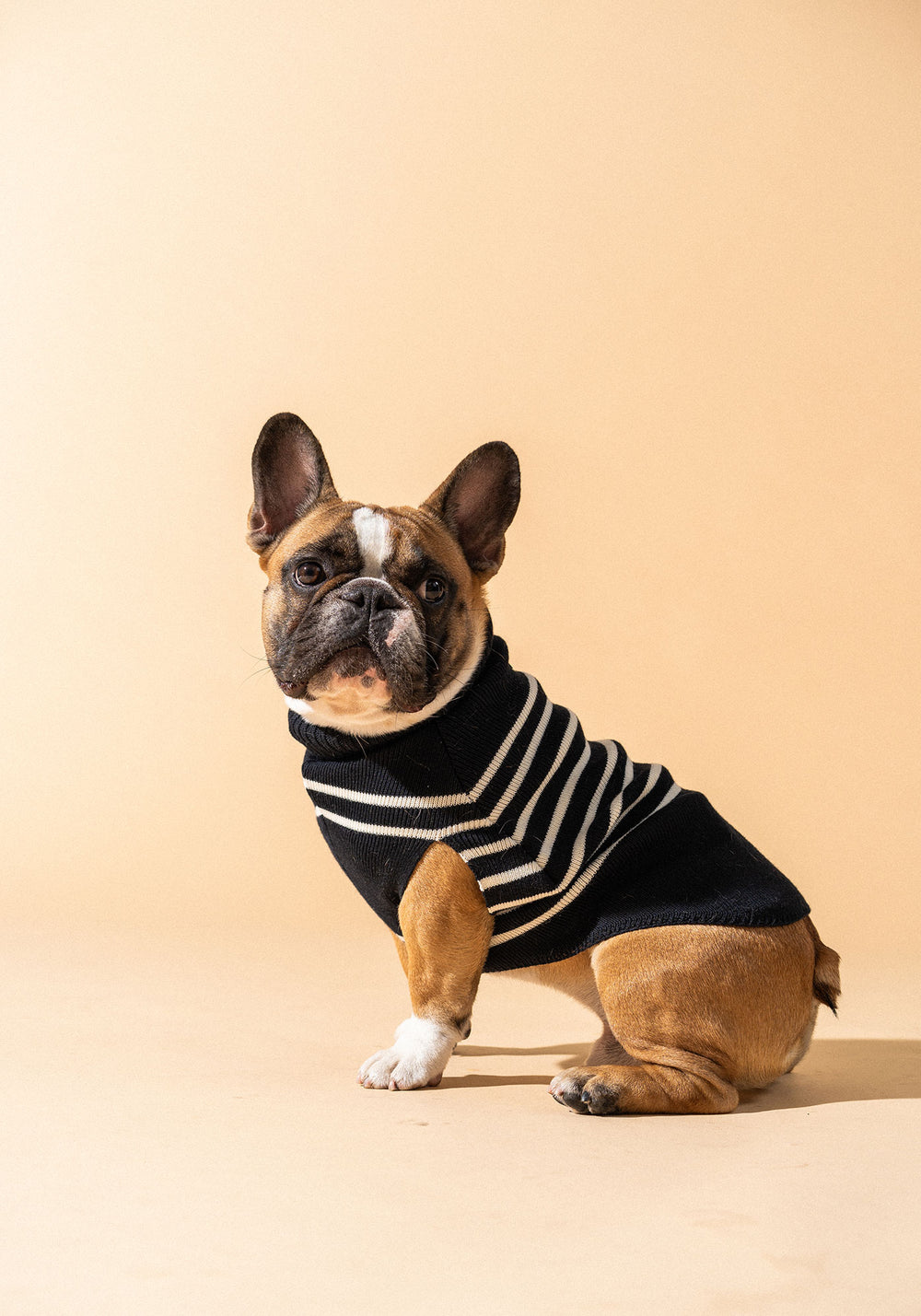 Dog jumper Toutoupull (NAVY/ECUME)