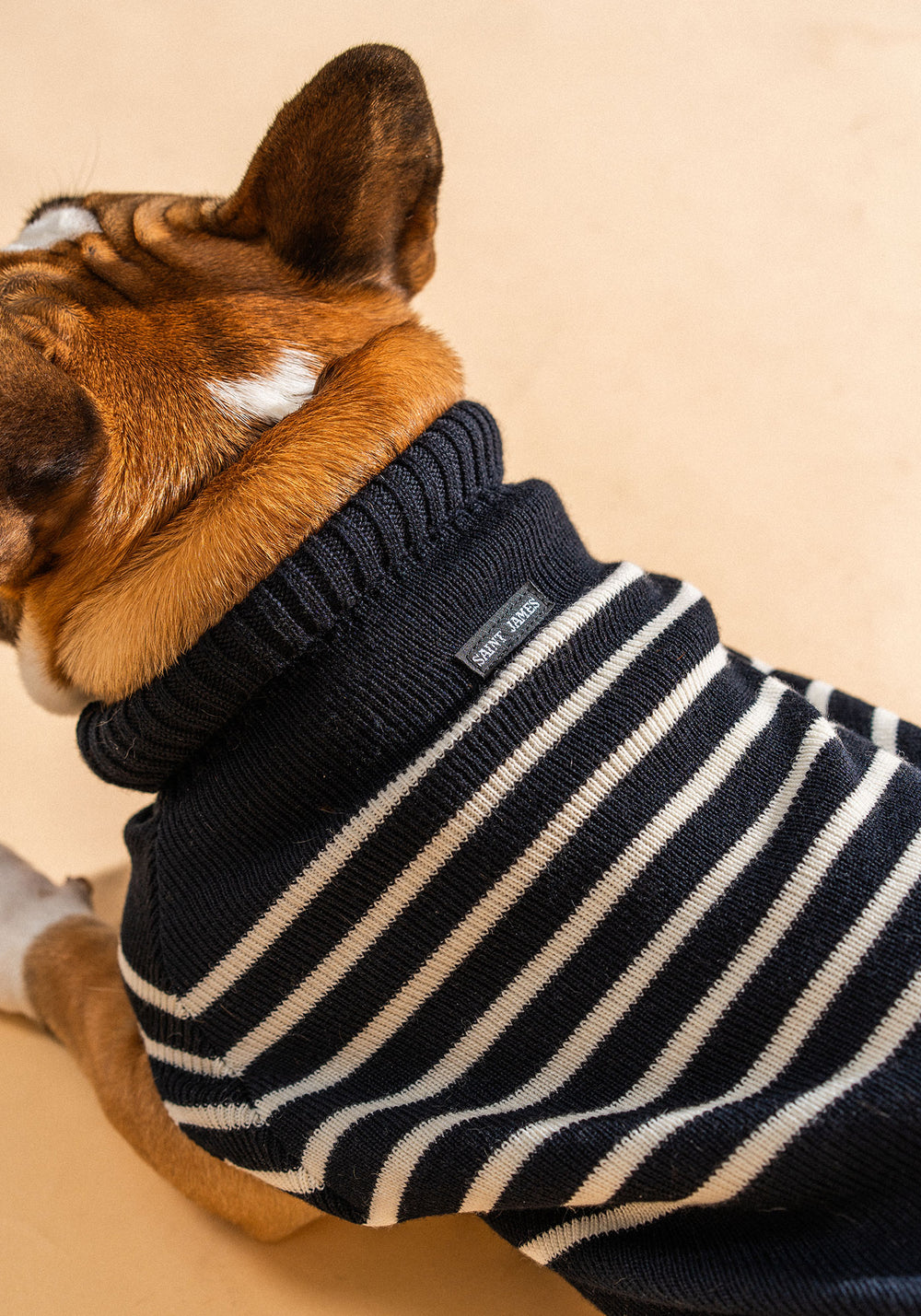 Dog jumper Toutoupull (NAVY/ECUME)