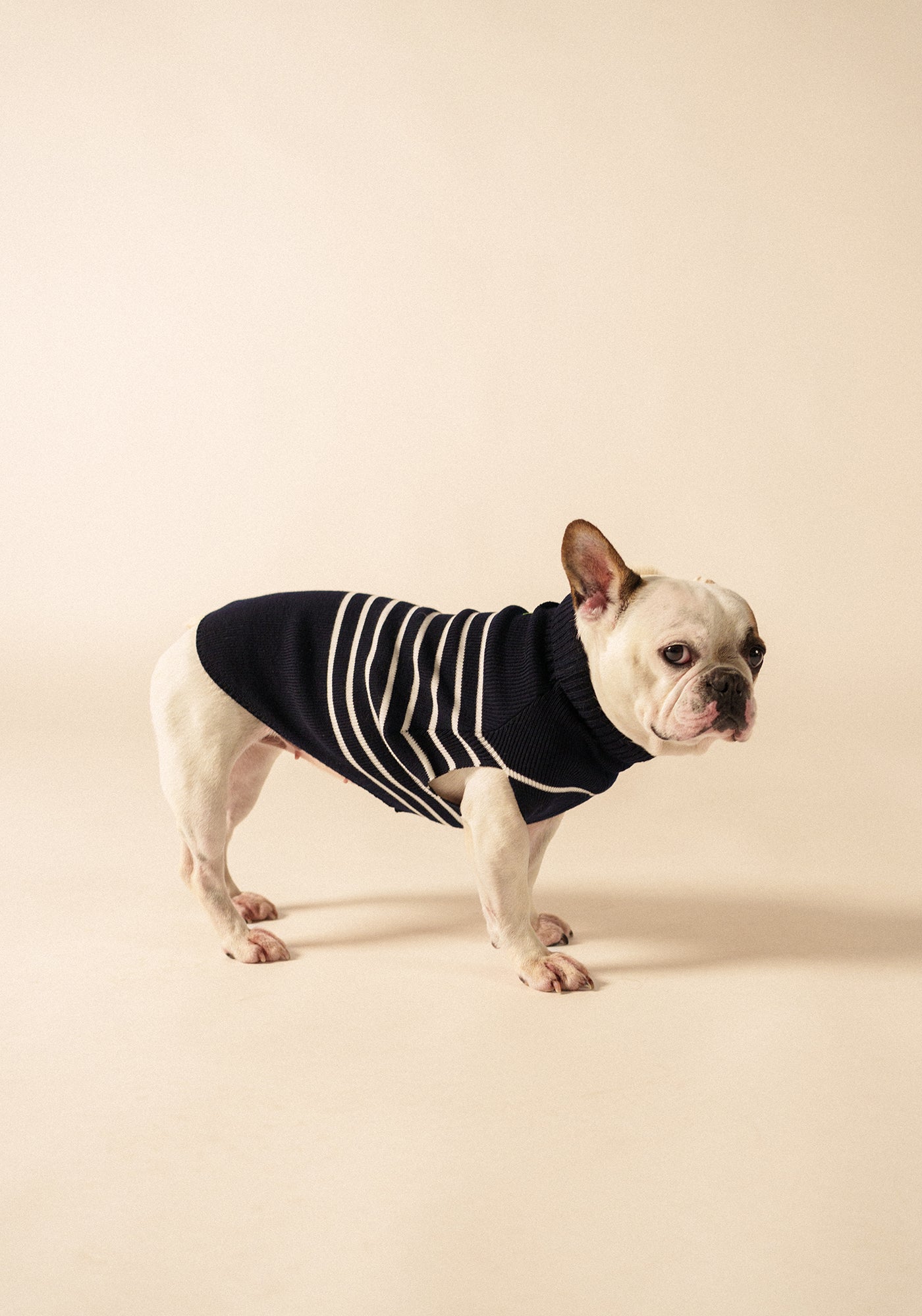 Glow-In-The-Dark Toutoupull - in wool (NAVY/PHOSPHORESCENT)