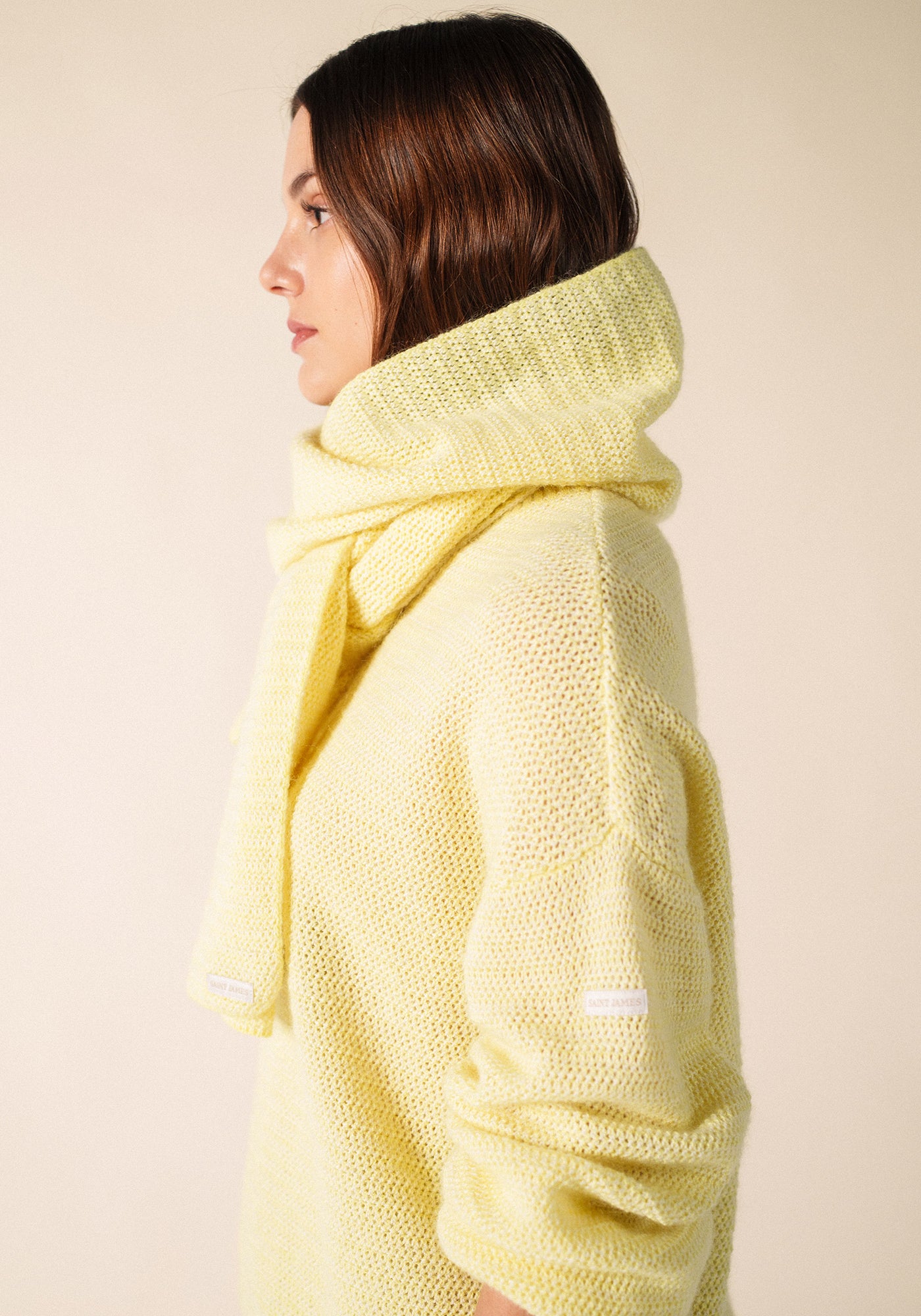 Ascain Scarf (AUBE/BLANC D'HIVER)